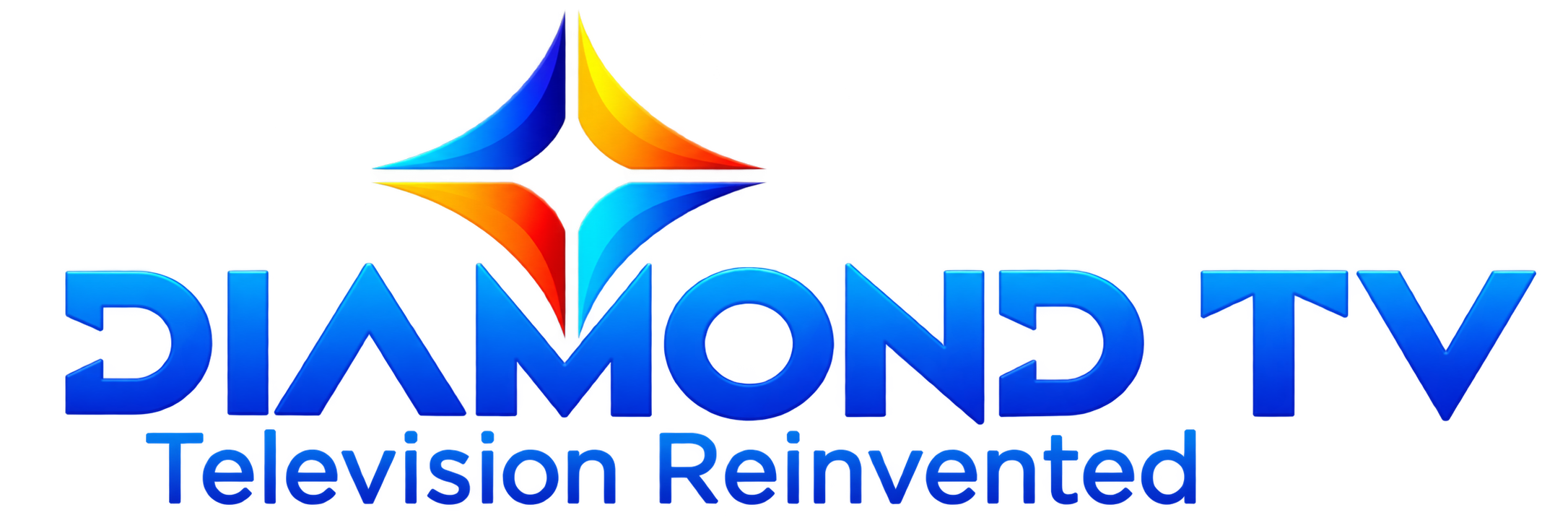 Partner logo 13